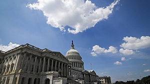 <em>新</em><em>布倫</em><em>瑞克</em><em>大學(xué)</em>本科錄取范圍