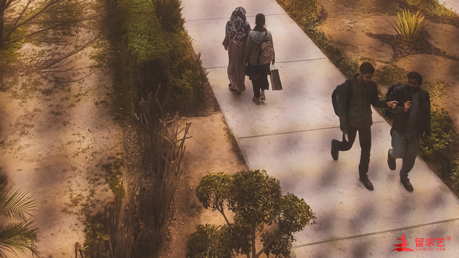 [蘇州托福培訓(xùn)機(jī)構(gòu)怎么樣]留求藝托福培訓(xùn)課程效果好不好?