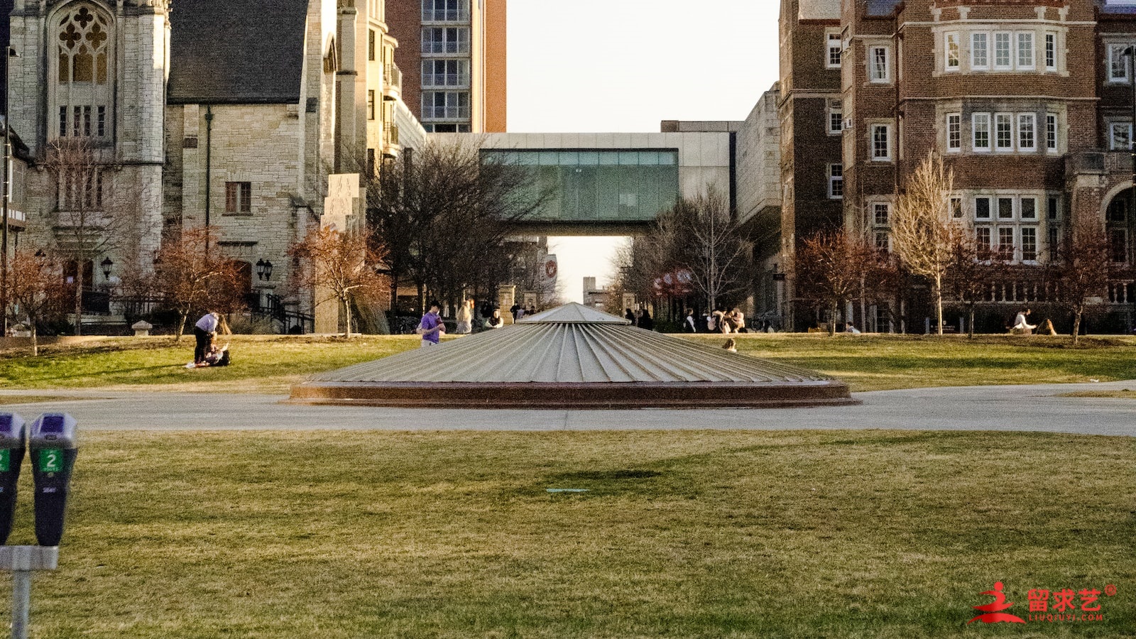 去愛爾蘭選擇什么專業(yè)好呢