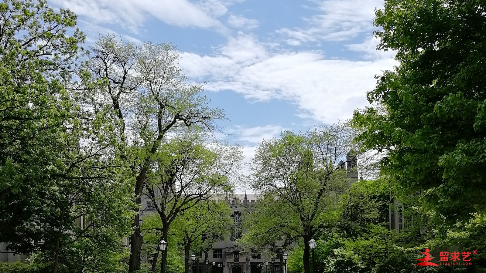 美術(shù)生留學(xué)意大利費用多少