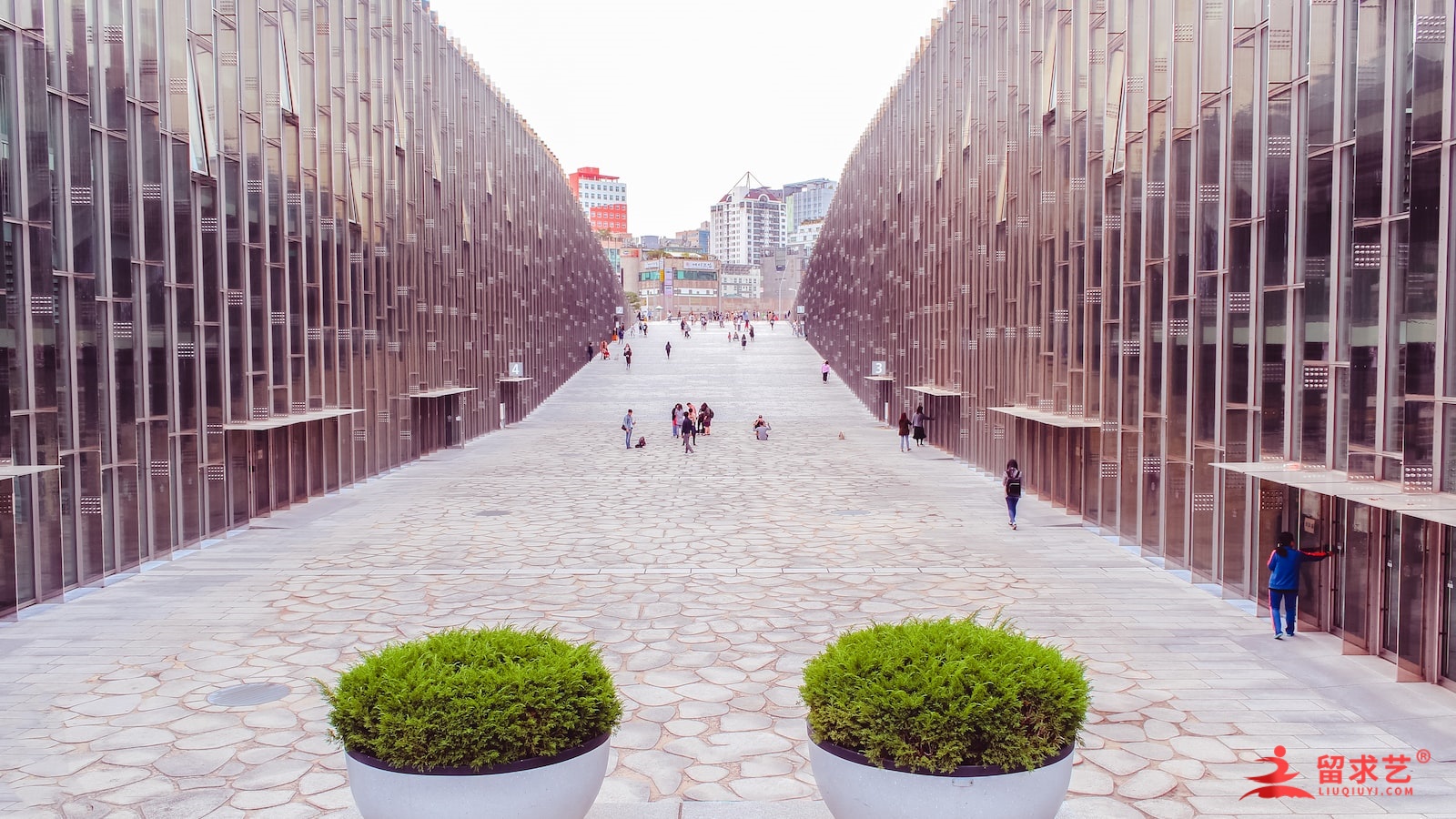 荷蘭代爾夫特理工大學(xué)世界排名第幾? 荷蘭代爾夫特理工大學(xué)世界排名第幾?